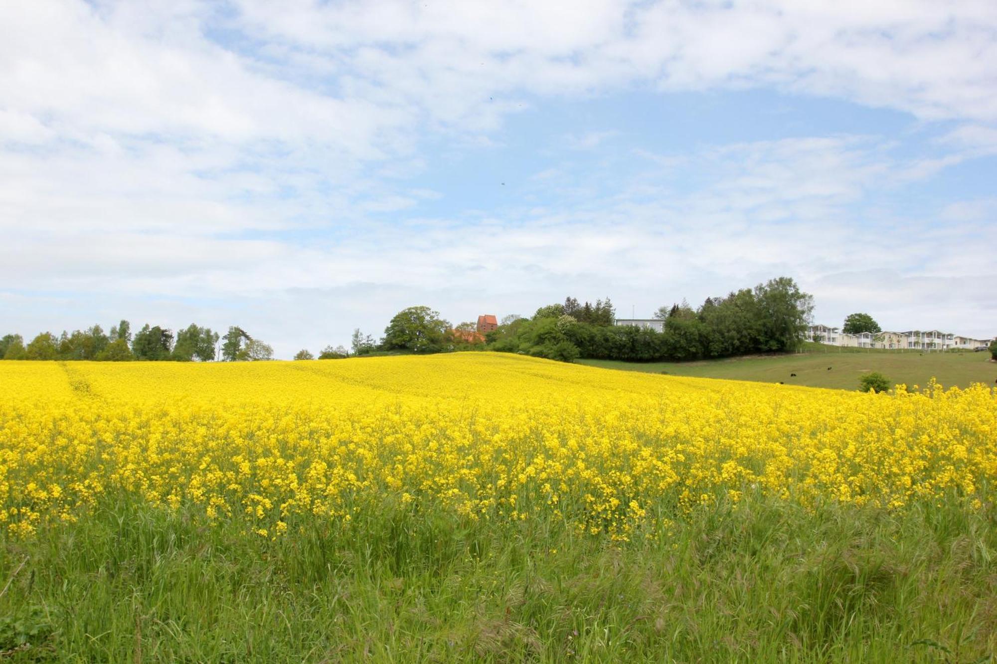 Mit Meerblick Und Balkon, Gratis Nutzung Vom Ahoi Erlebnisbad Und Sauna In Sellin - Meeresblick Fewo 33 Goehren  Kültér fotó